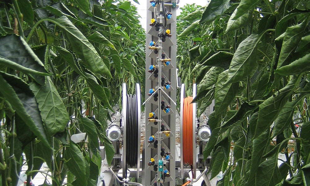 Poor maintenance can slash life span of spray robot by half