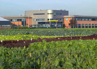 Nieuwe R&D-locatie van Rijk Zwaan in Fijnaart geopend