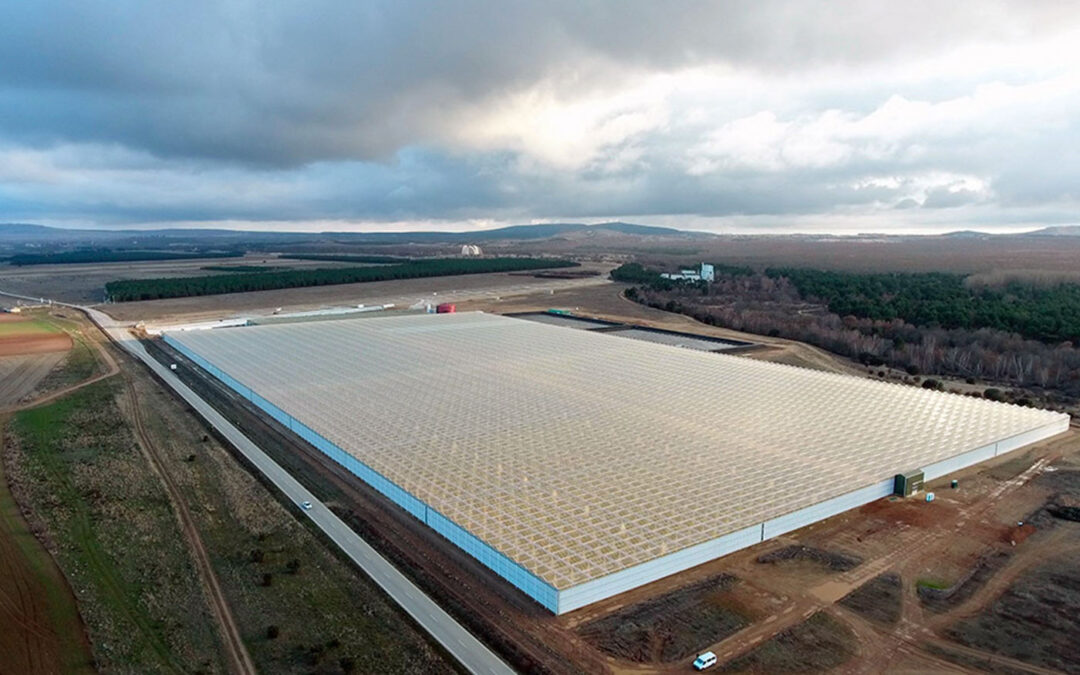 Aleia Roses bereidt introductie van nieuw toplabel voor