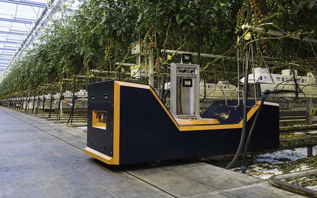 Steeds meer samenwerking tussen robot en mens in glastuinbouw