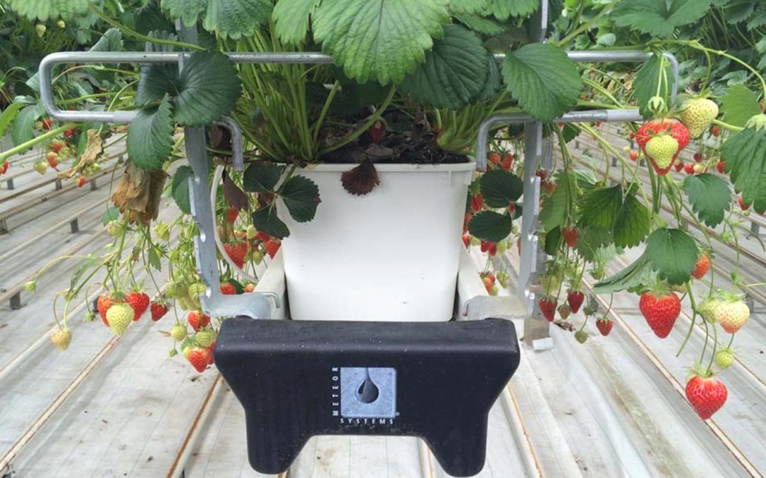 Noorse start-up ontwikkelt technologie om zuurstof aan gietwater toe te voegen