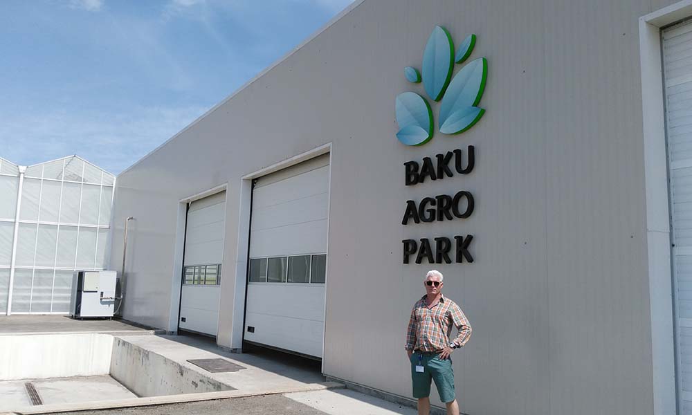 Dutch growers grow pink tomatoes in Azerbaijan for Russian market