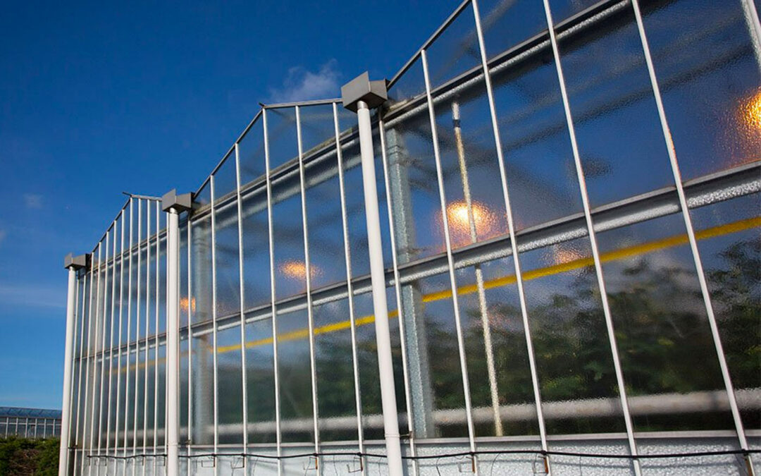 LTO Glaskracht Nederland na 1 januari verder onder nieuwe naam