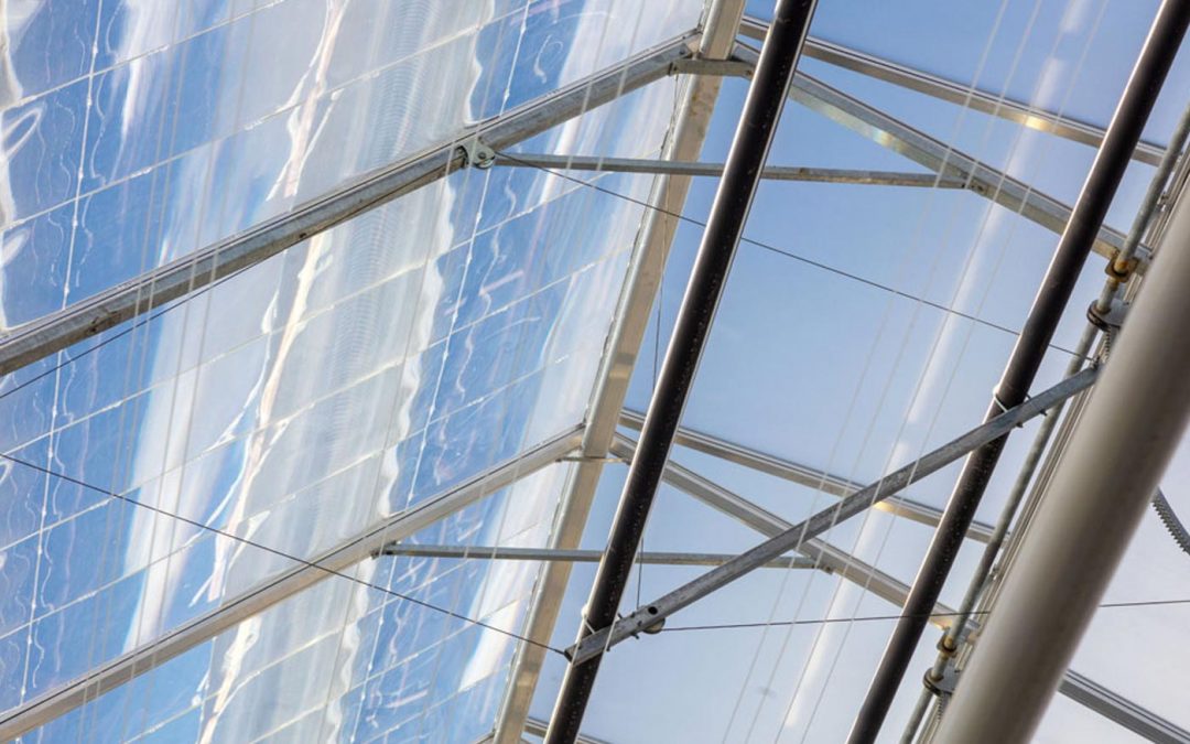 Ter Laak wint energieprijs met DaglichtKas, maar subsidie stopt