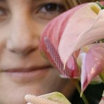 ‘Exclusieve soorten maken potanthurium meer trendy’