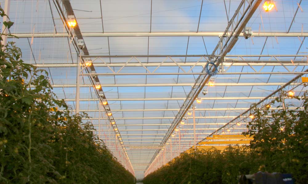 Beter lichtverlies dan kwaliteitsverlies