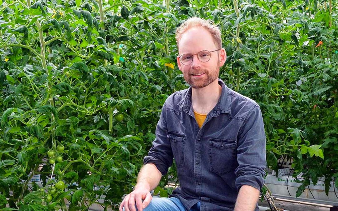 ‘Gericht fokken op eigenschappen vereist voor betere natuurlijke vijanden’