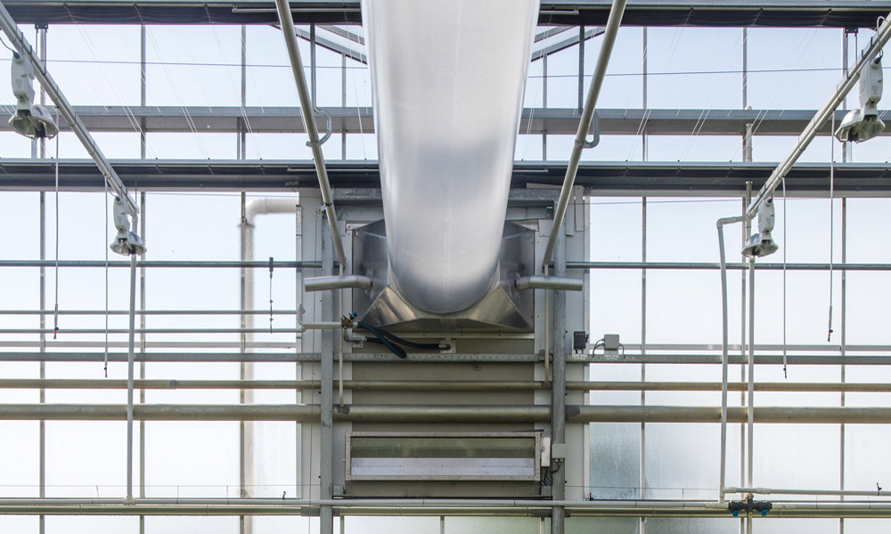 De installatie die Technokas bij Van der Lugt Lisianthus realiseert heeft wel meer capaciteit (zowel qua luchtdebiet als qua verwarmingsvermogen) dan de luchtbehandelingskasten die bij chrysanten worden toegepast.