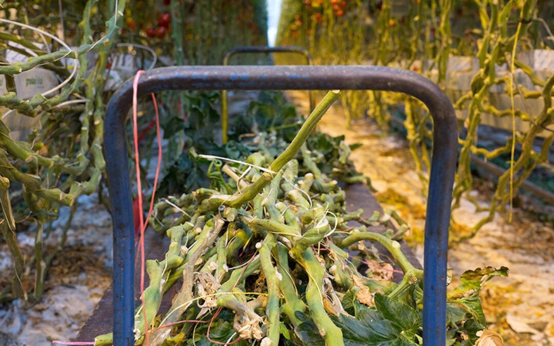 BioBoost inventariseert afvalstromen en kansen voor circulaire en biobased economie