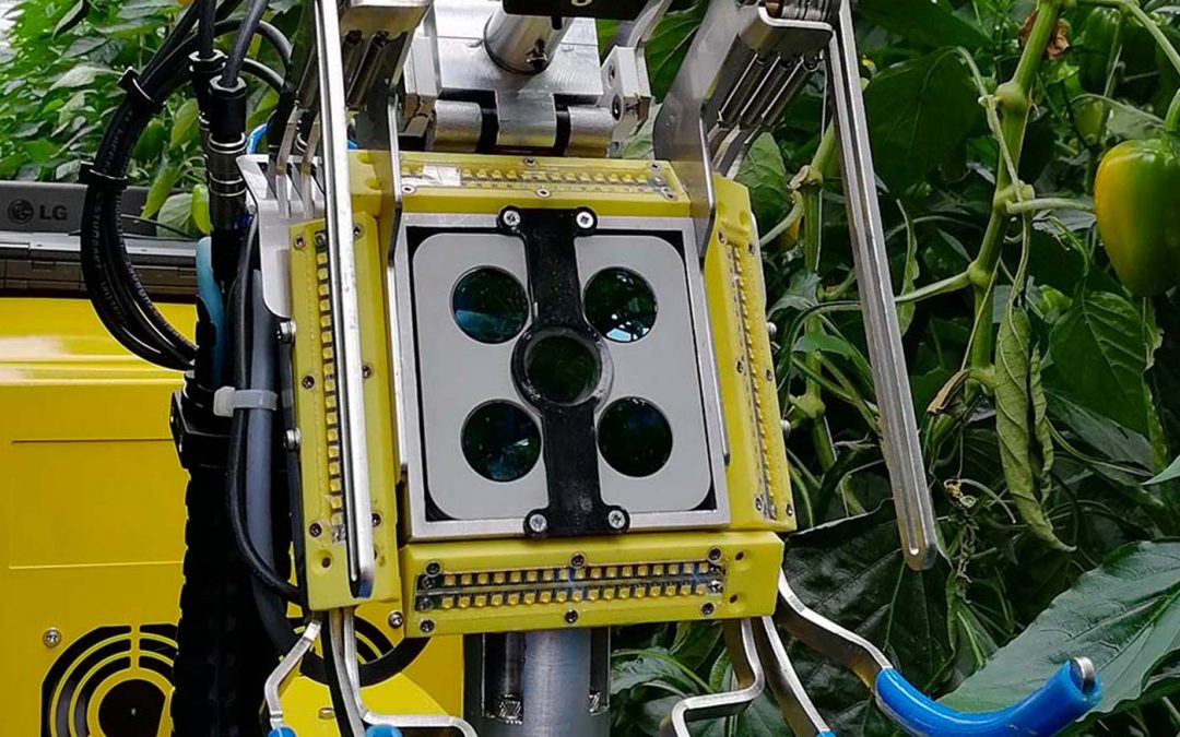 Paprika oogstrobot in de race voor Techtransfer award