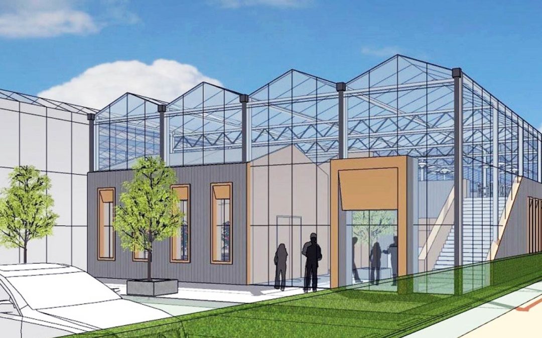 Syngenta kondigt bouw aan van nieuwe tomaten-demokas
