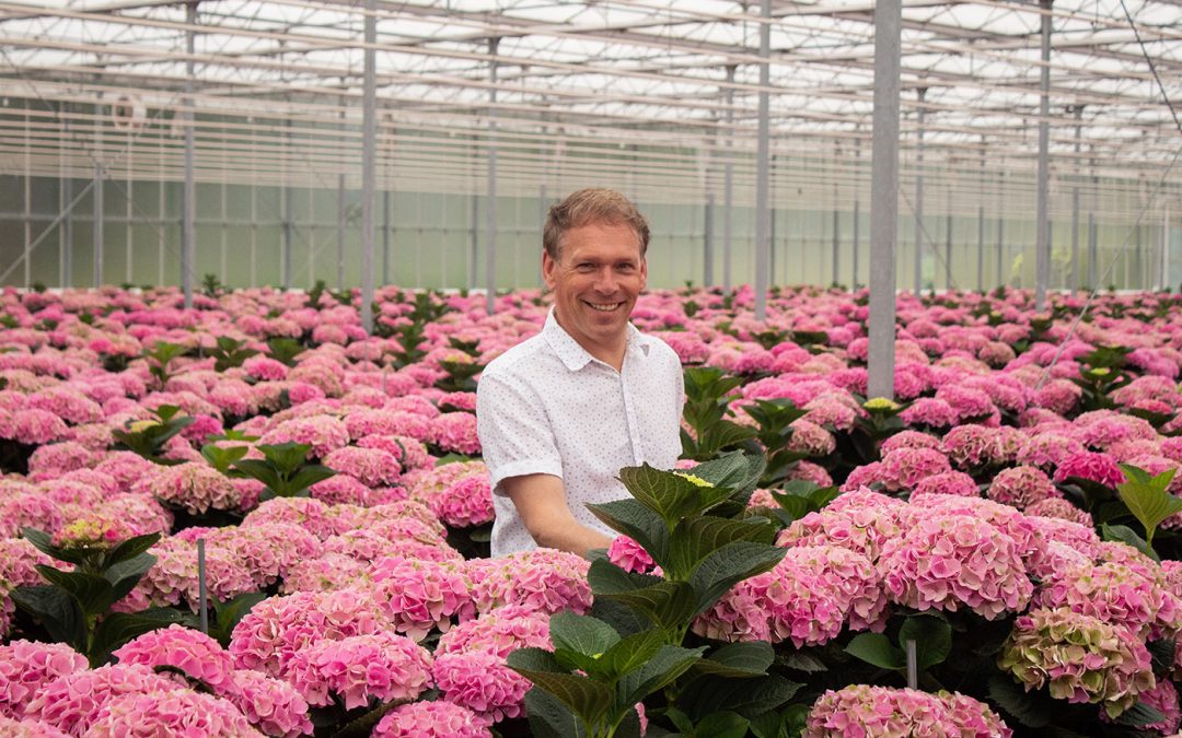 Mertens investeert in uitbreiding team Noord-Nederland