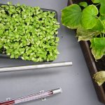 Kunststoffen testen op schadelijke dampen voor planten