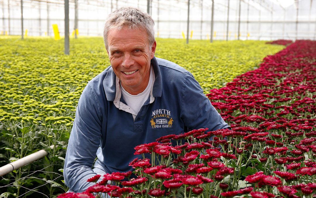 ‘Serenade geeft structureel zwaardere stelen’