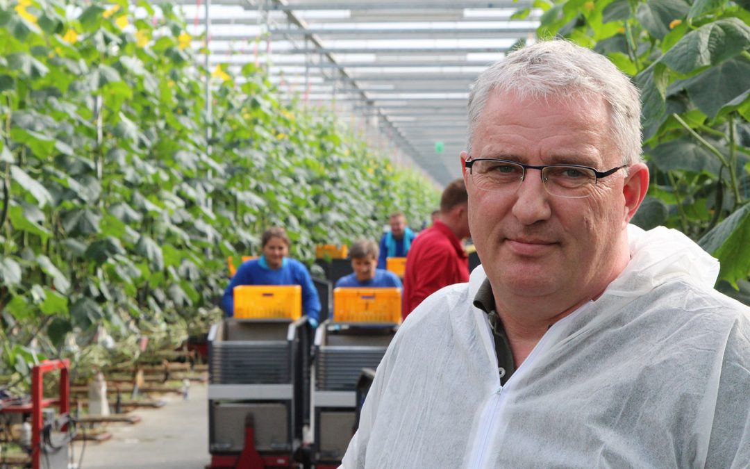 Roy Joosten: ‘We hebben Agrobacterium goed onder controle’