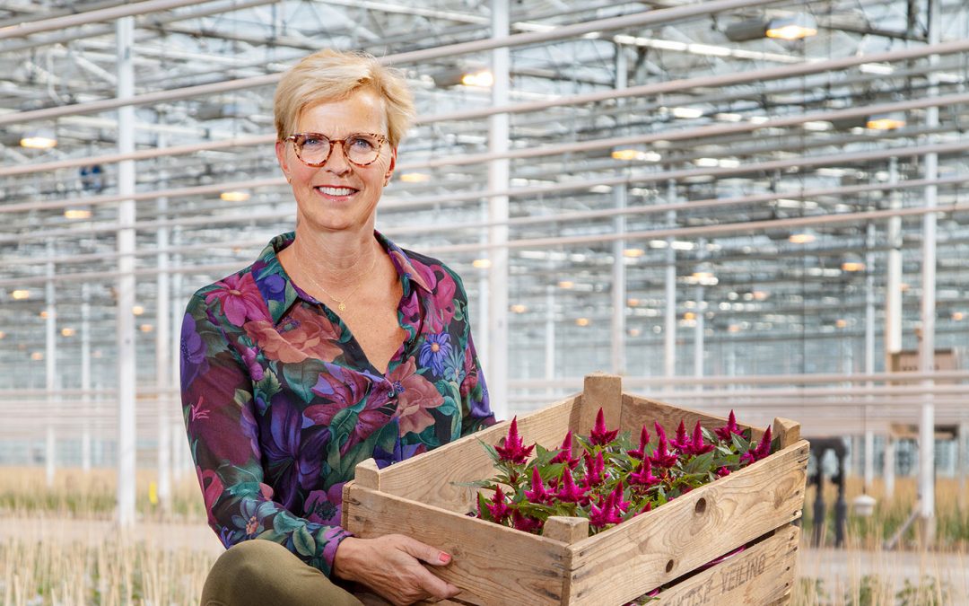 ‘Als plantenkweker willen we met onze klanten meegroeien’
