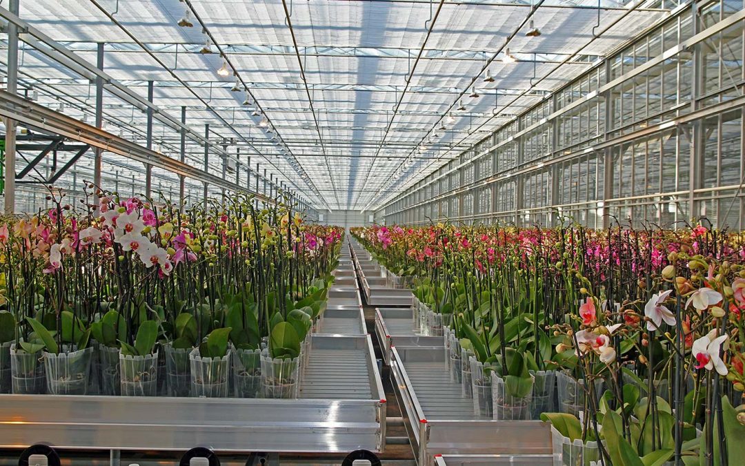 Tweede ronde subsidieregeling Kennis en Innovatie Westland