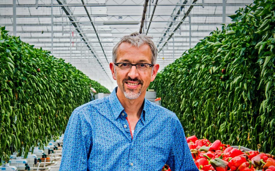 Problemen te lijf gaan, of accepteren en nieuwe kansen vinden?