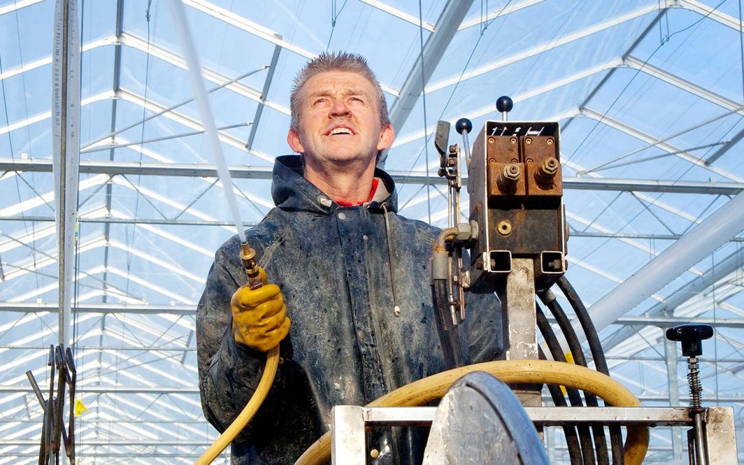 Glas alleen met water schoonmaken kost licht en opbrengst