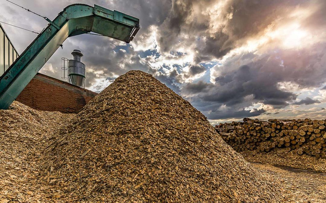 Subsidie voor biomassa in Nederland voorlopig van de baan