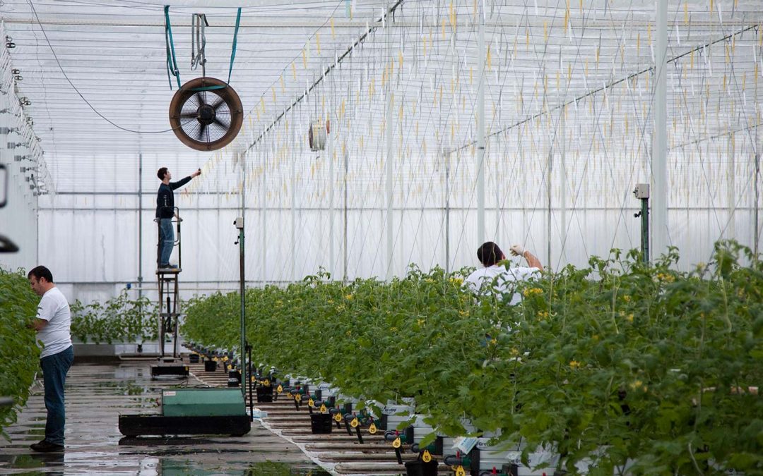 Flexarbeid per 1 januari flink duurder door WAB-wet