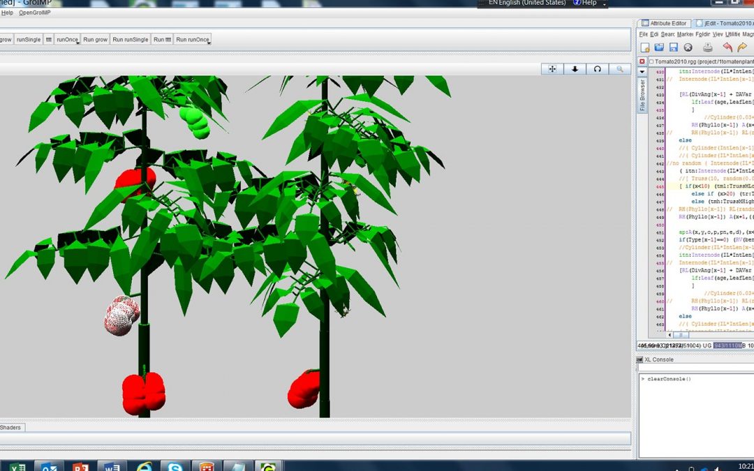 Met virtuele representatie groei van tomatengewas voorspellen