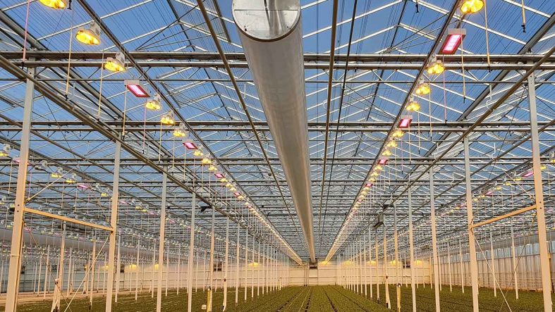 4-Foto-LED-en-SON-T-via-Stolze