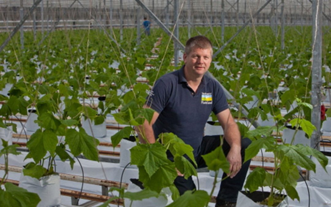 ‘Bijvoeren van biologische bestrijders is logisch’