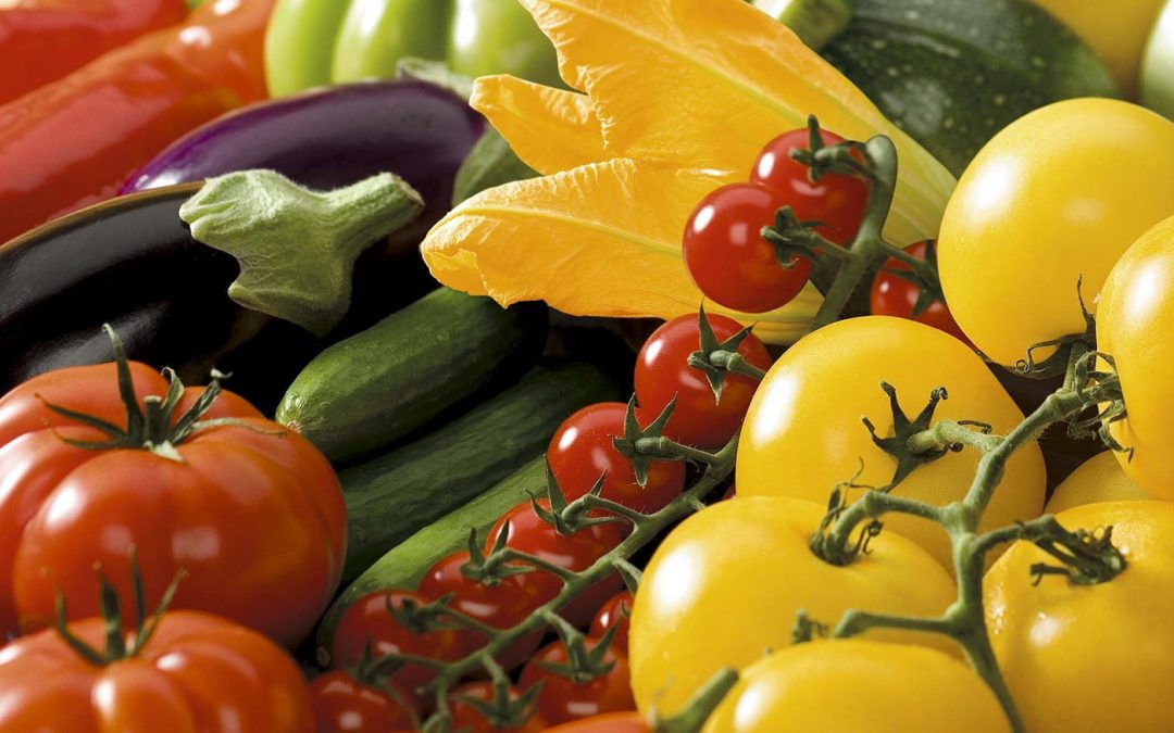 Initiatiefnemers SamenSterk willen tuinbouwsector weer gezond maken