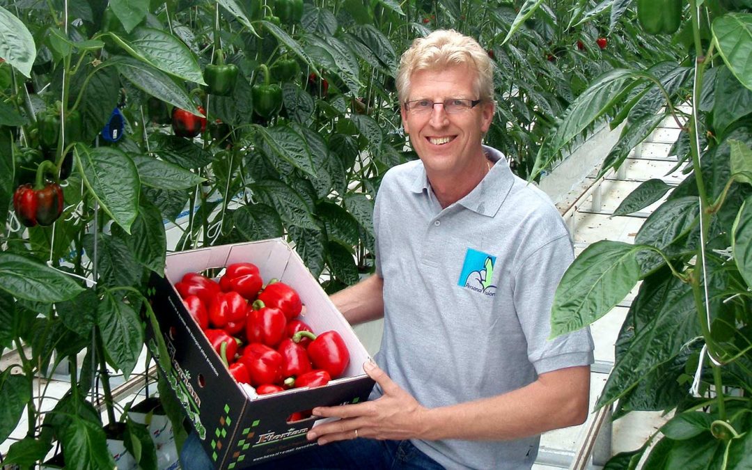 Jonge generatie Belgen gelooft in tuinbouw in Nederland