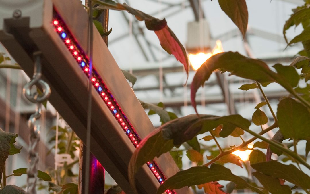 Licht en innovatie gaan nog jaren hand in hand