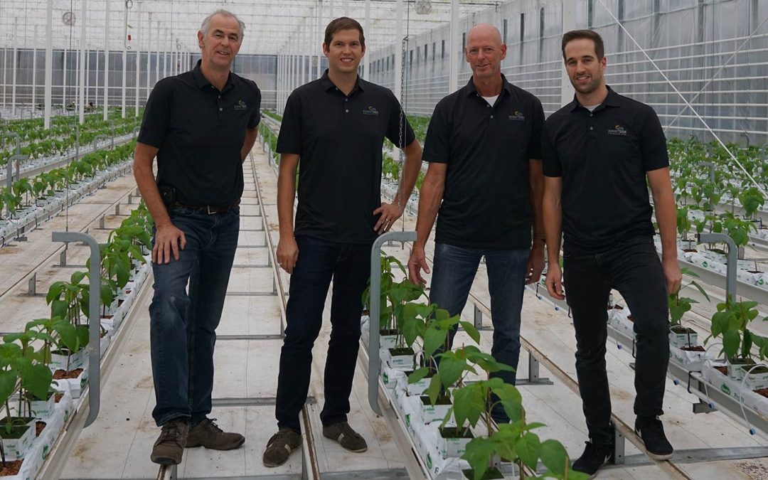 The cousins Jos and Bram Moerman: ‘We keep the nursery in the family’