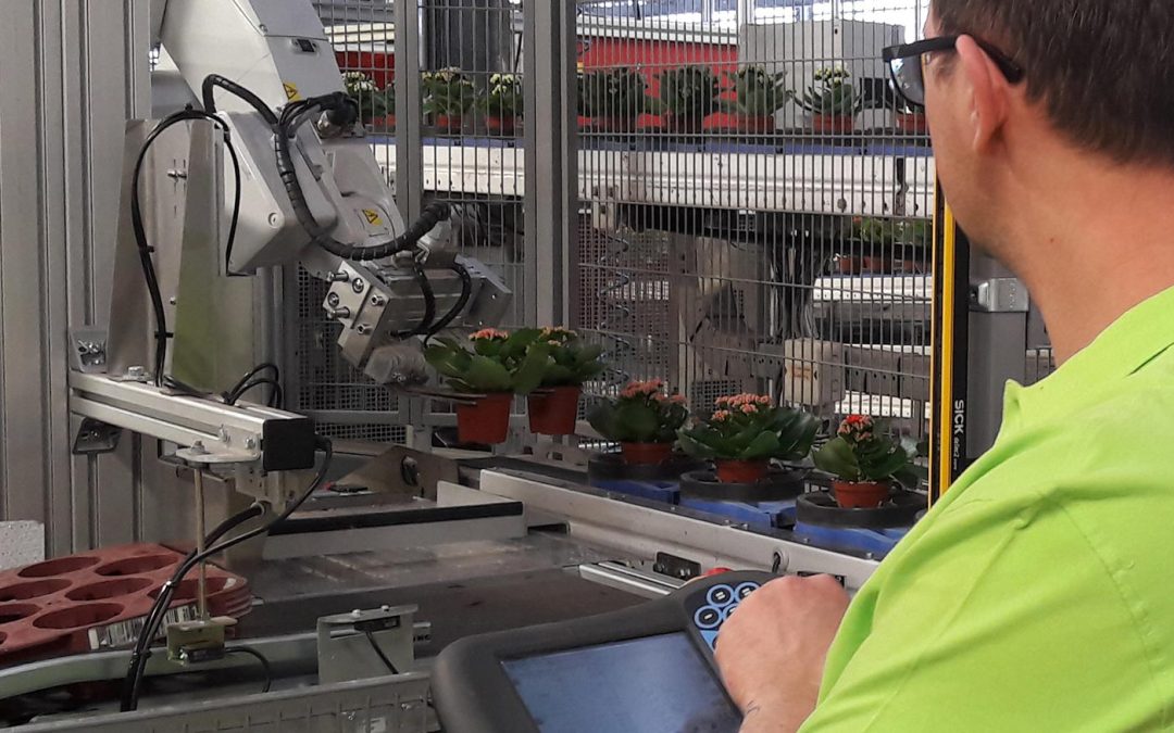 Tray-ontstapelaar en robotarm maken orderverwerking lichter