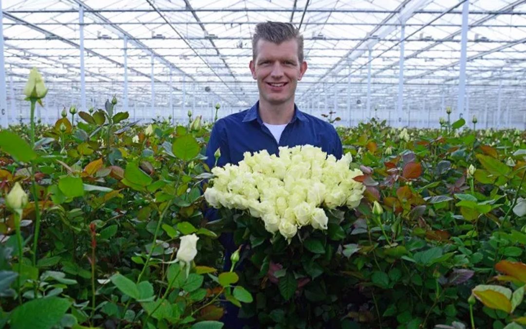 ‘Er is gewoon schaarste, en dat merk je aan de dagprijzen’