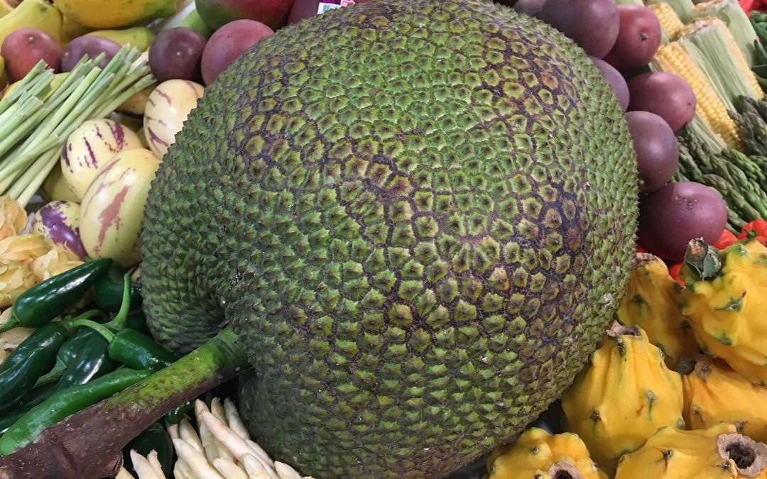 Exotische vruchten uit Nederlandse kassen