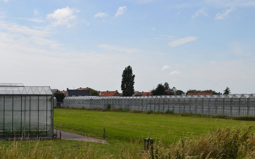 ‘Gemeente Pijnacker-Nootdorp zet glastuinbouwgebied op slot’