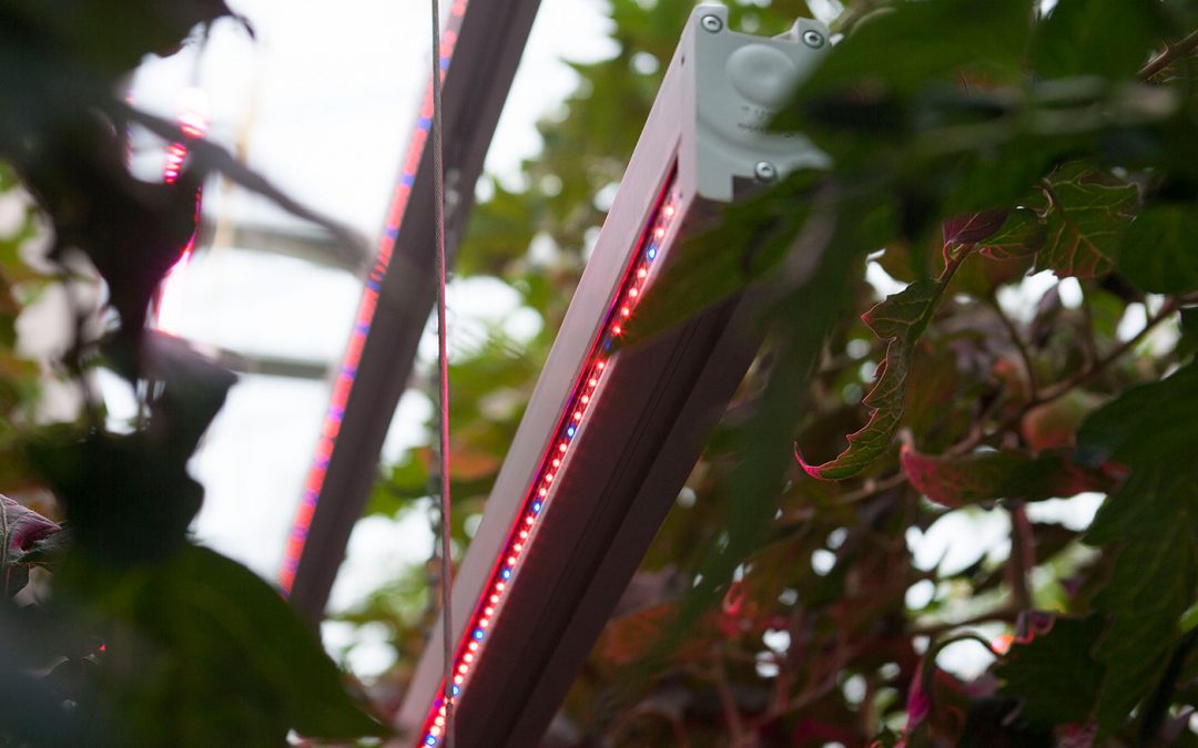 ‘Klimaatambities van glastuinbouw staan door ODE onder druk’