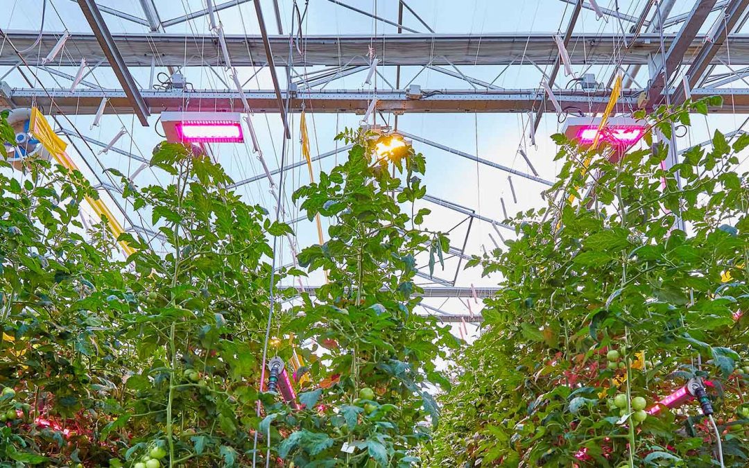 Eenvoudige 1-op-1 vervanging van HPS naar LED