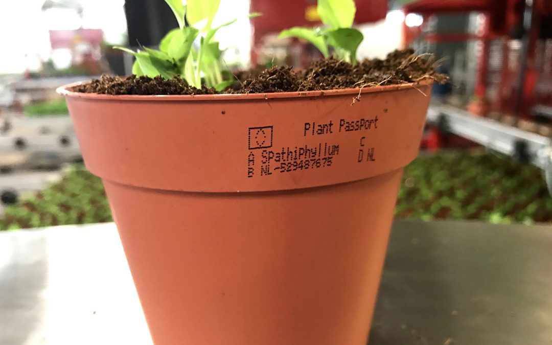 Verplicht plantenpaspoort printen?