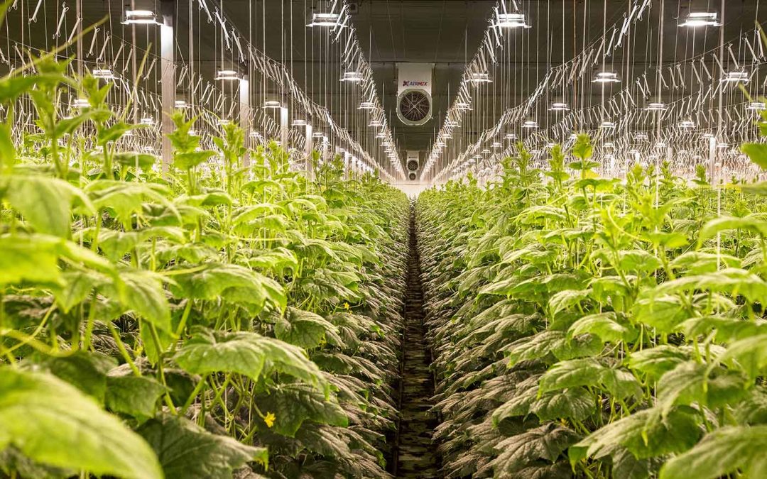 Telers krijgen een kwart van hun duurzame investering terug