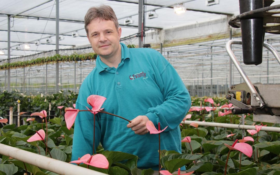 Minder plantstress door aandacht voor energie- en vochtbalans
