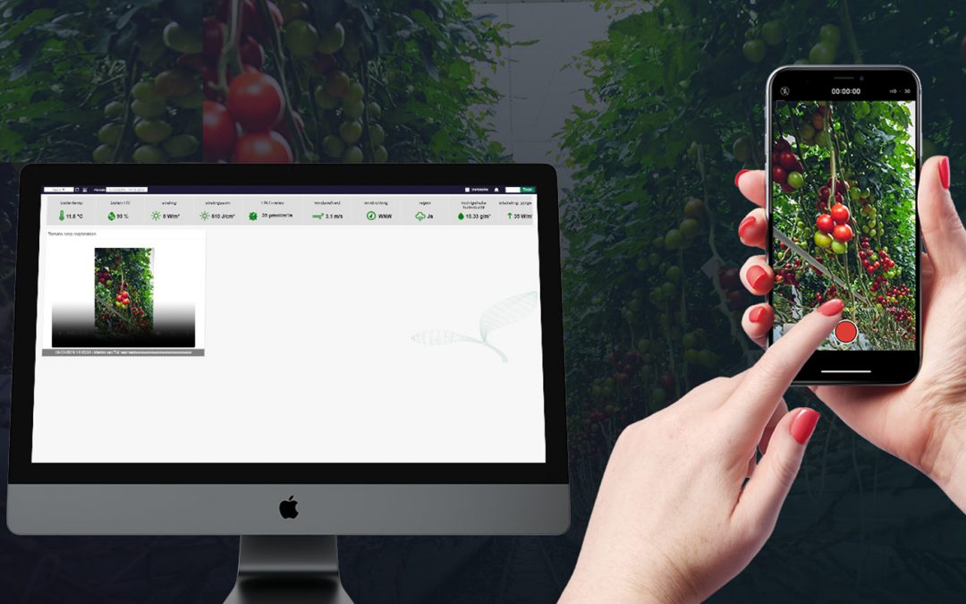 Digitaal excursie lopen is goed alternatief voor bedrijfsbezoek