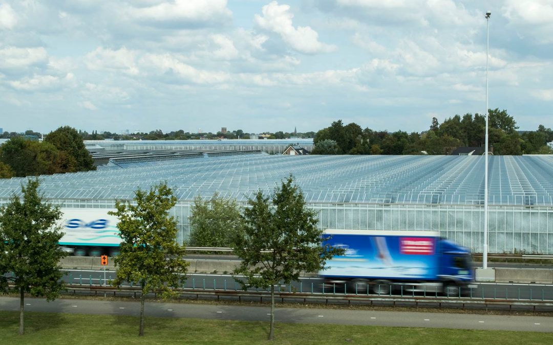 Glastuinders met meerdere locaties gaan minder ODE betalen