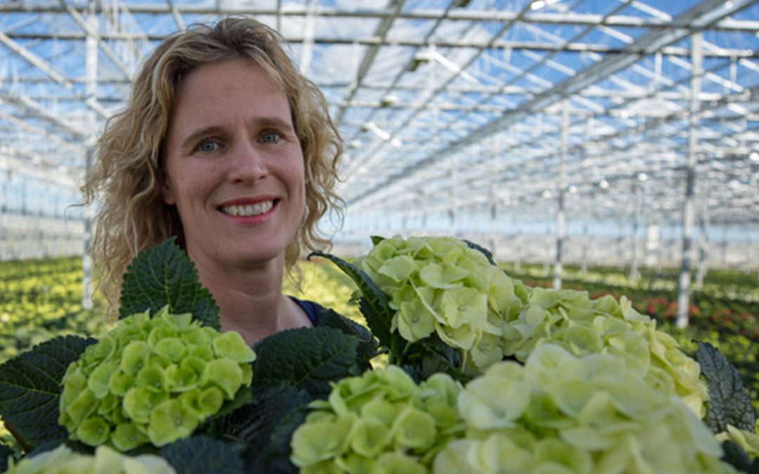 ‘Enorme animo voor drive-in is hart onder de riem voor teler’