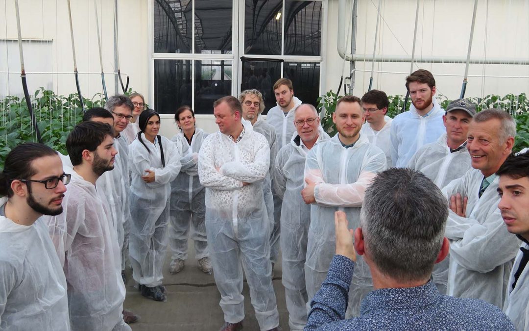 Zelf voedingsschema opstellen in Masterclass Soilless Culture
