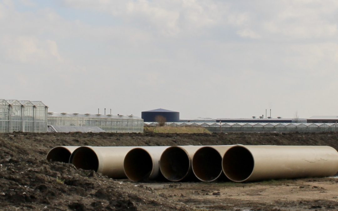 ‘Robuust systeem zorgt dat telers altijd een buffer met schoon water hebben’