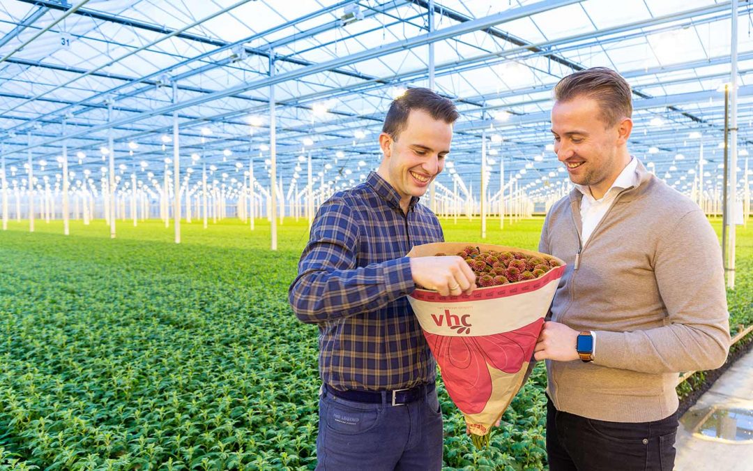 ‘Retailers blij met overstap van plastic op papieren hoezen’
