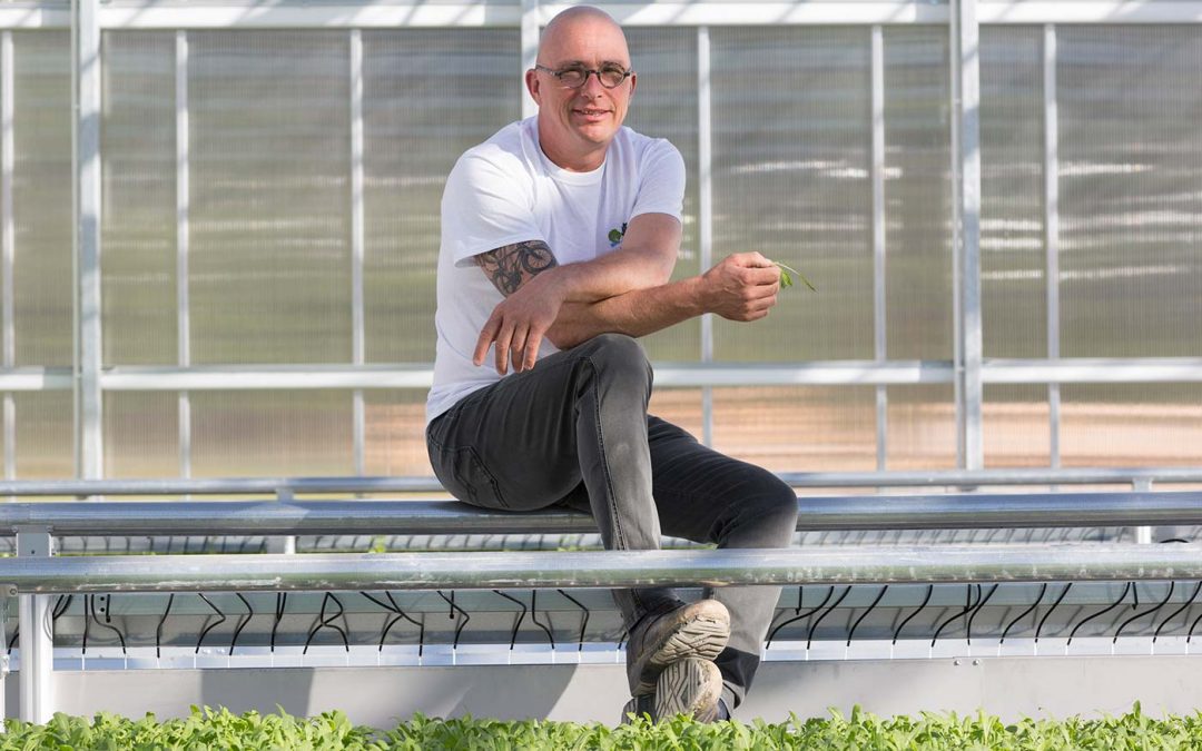 ‘This greenhouse has everything a grower could dream of’