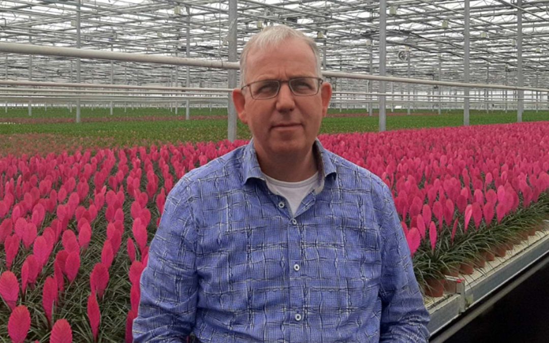 ‘Tuinbouw moet harder zoeken naar betrouwbare externe CO2’