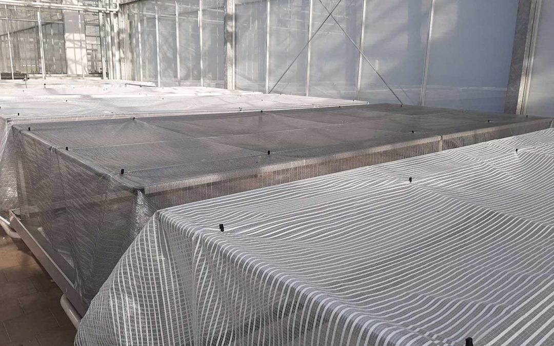 Onderzoek naar effect van materialen met hoge Hortiscatter